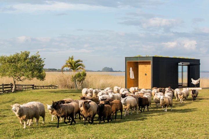 Minimod, by MAPA Architects (Photo: Leonardo Finotti)