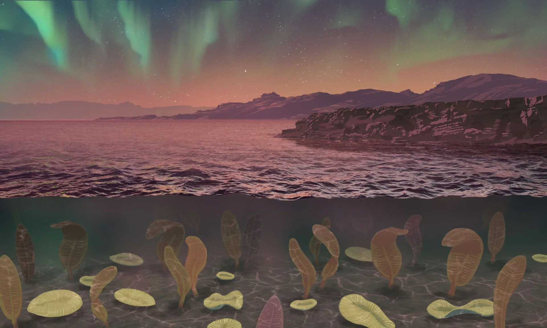 An artist's impression of the Ediacaran Period, a time when the Earth's magnetic field was at its weakest