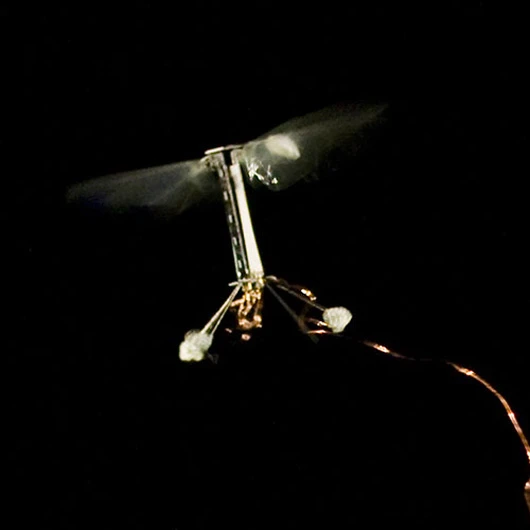 A close-up of Harvard's RoboBee in flight (Photo: Kevin Ma and Pakpong Chirarattananon)