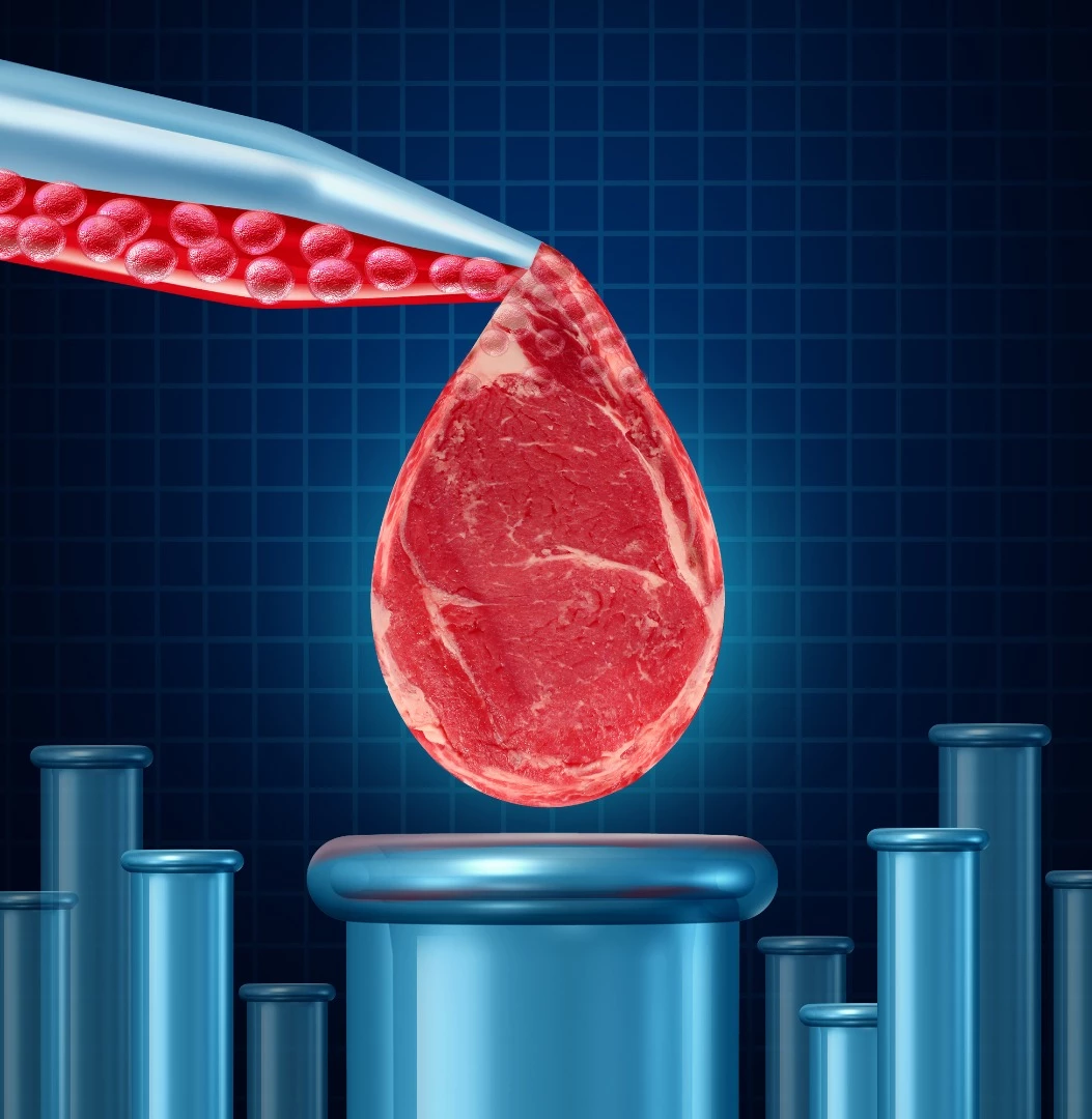 Should lab-grown meat be called meat? A new bill just passed in the state of Missouri says no