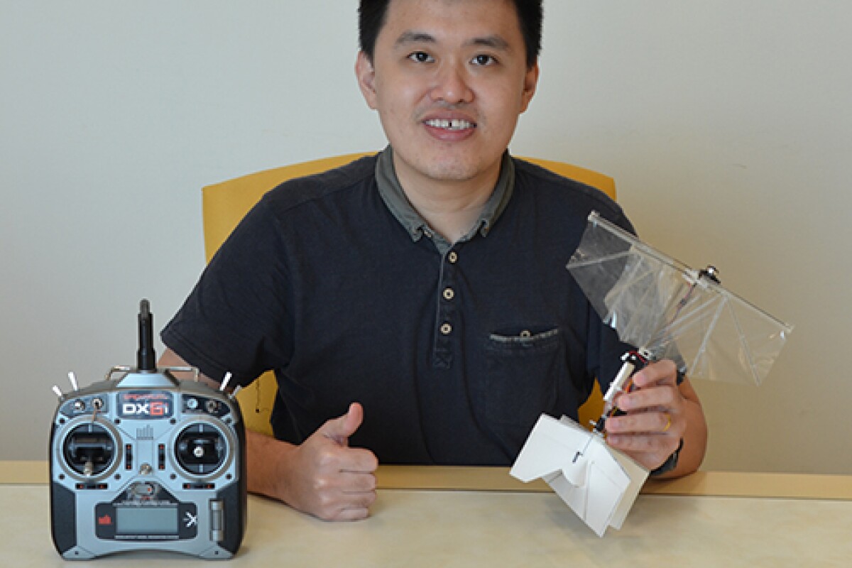 Study author Dr Yao-Wei Chin with the new swift-inspired flapping wing drone prototype