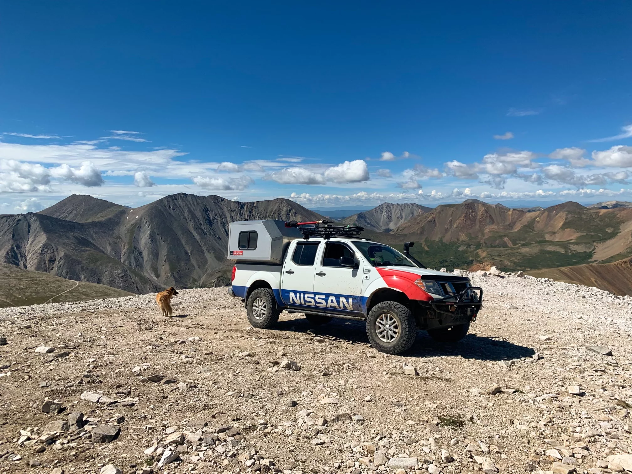 A sporty king of the hilltop