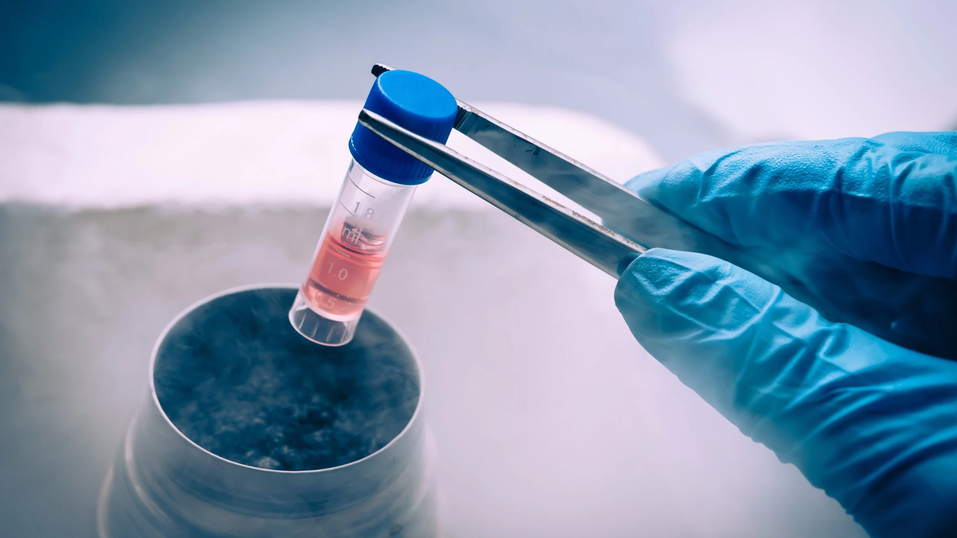 The FDA is taking on the large network of stem cell treatment centers in the US that offer unproven medical treatments