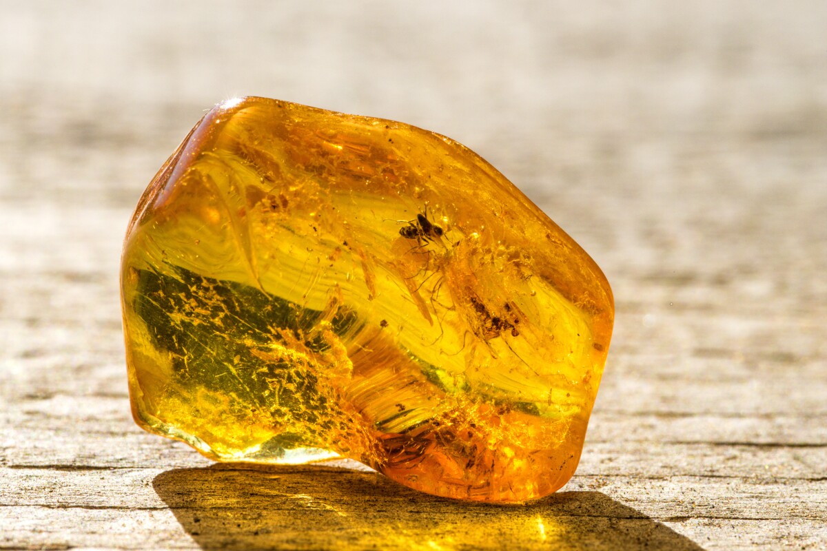 Natural amber can preserve DNA from insects, plants and animals for long periods, and now scientists have created an artificial version that could do the same