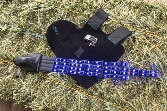 The Tail Lights System set for blue