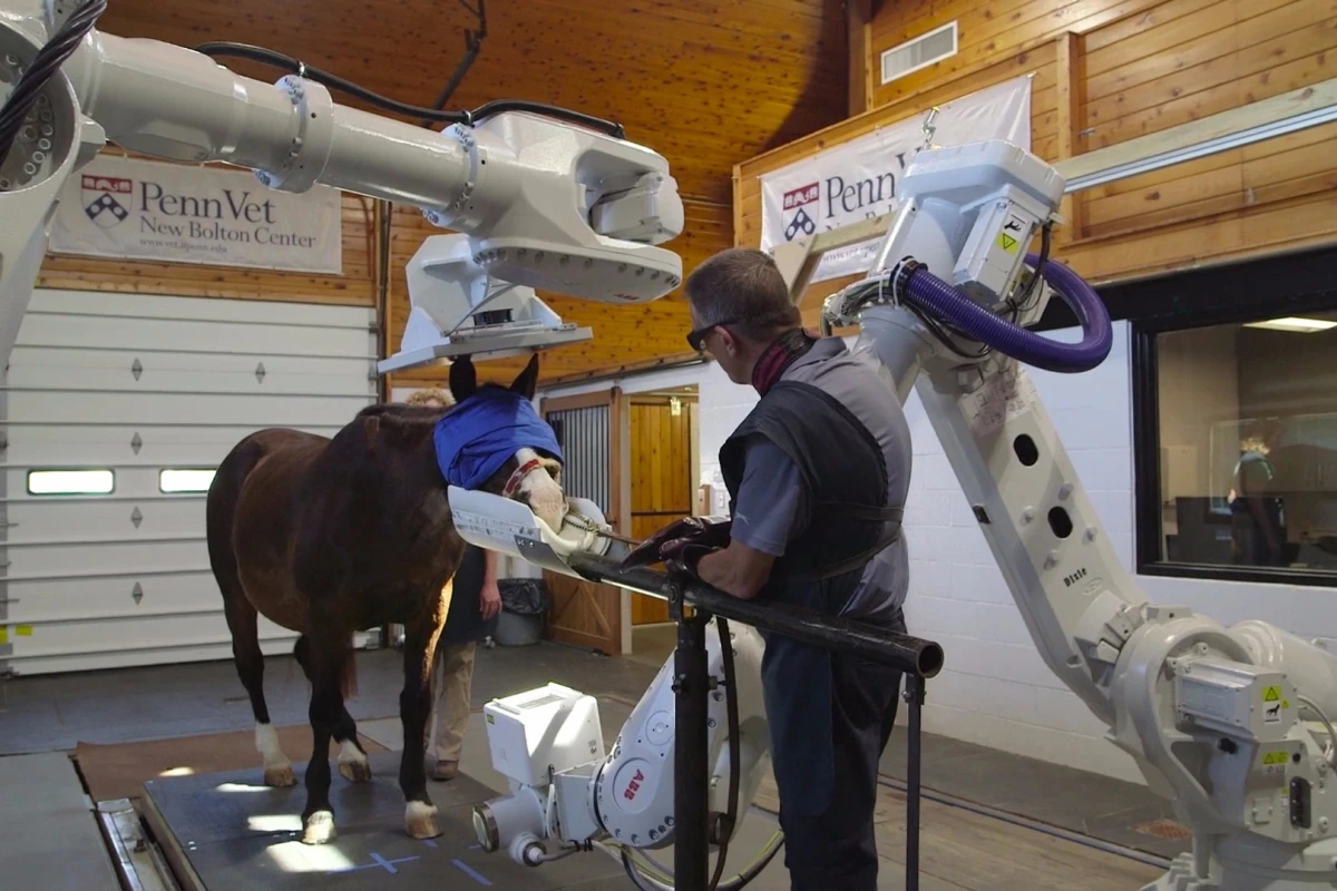 The technology could allow doctors to spot dangerous injuries before they have a chance to endanger the life of horse or rider on the racecourse