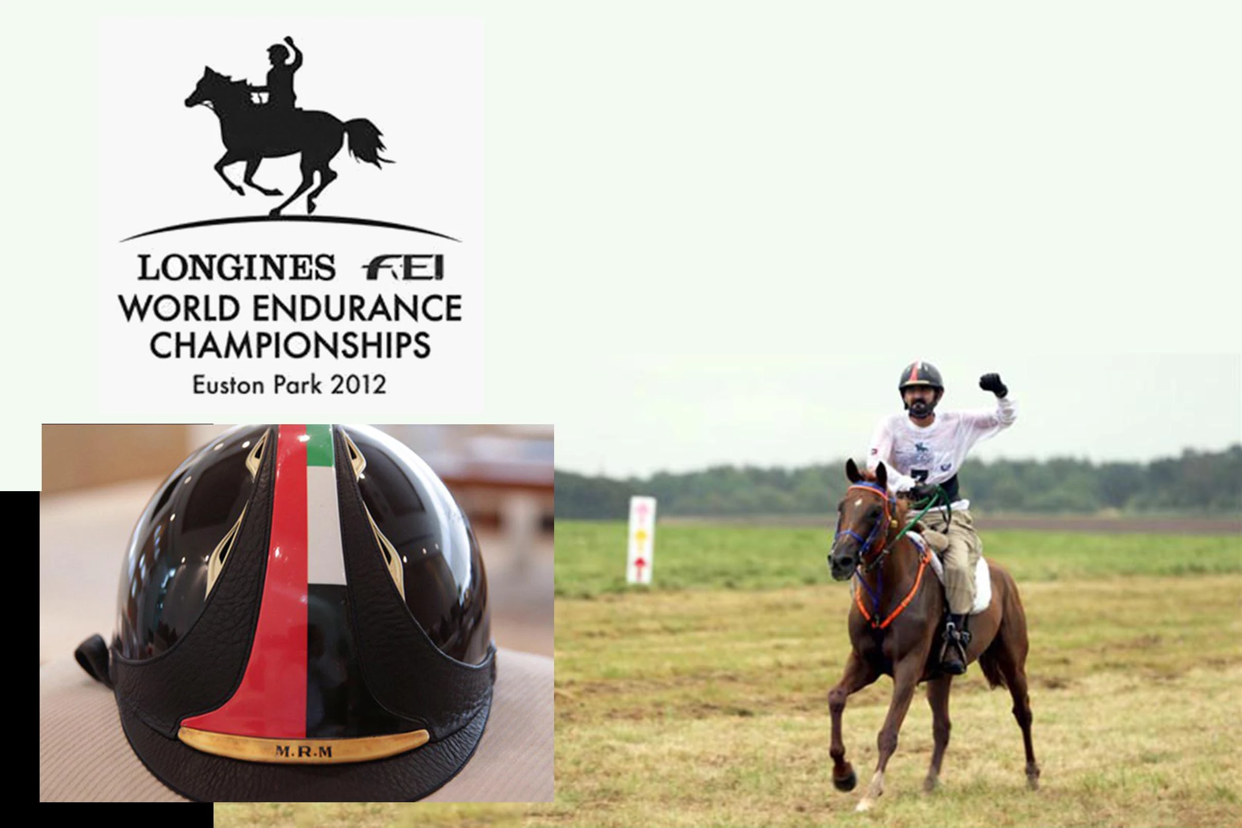 The world's most expensive headware ever sold at auction was the helmet Shaikh Mohammad Bin Rashid Al Maktoum wore in winning the 2012 FEI World Endurance Championship. The helmet the Shaikh wore during the 100-mile race sold at an Emirates Auction (UAE) raising funds for the Al Jalila Foundation to an anonymous bidder who paid USD $6,547,603 (Dh24.05 million) in November 2015.