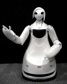 Toyota Tour Guide Robot
