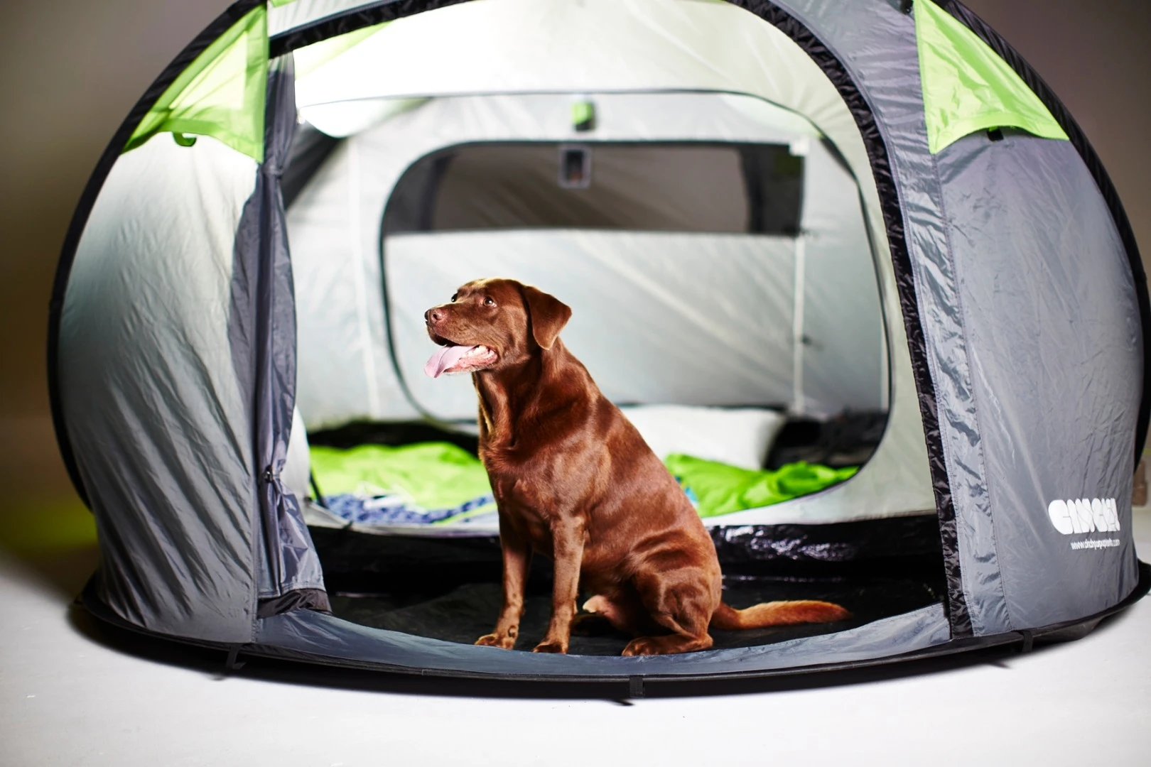 Each size is said to be the biggest in its class, with the four-man version claimed to be the biggest pop-up tent available