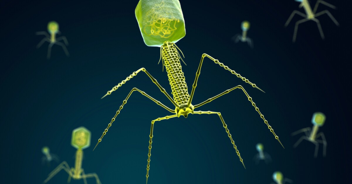 Engineered viruses extract rare earth elements from mining waste