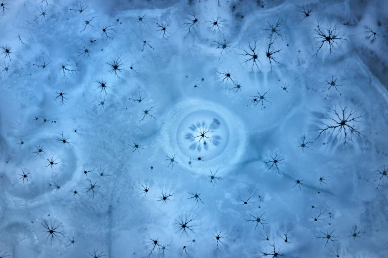 Ice Magic: Runner up in the Abstract category