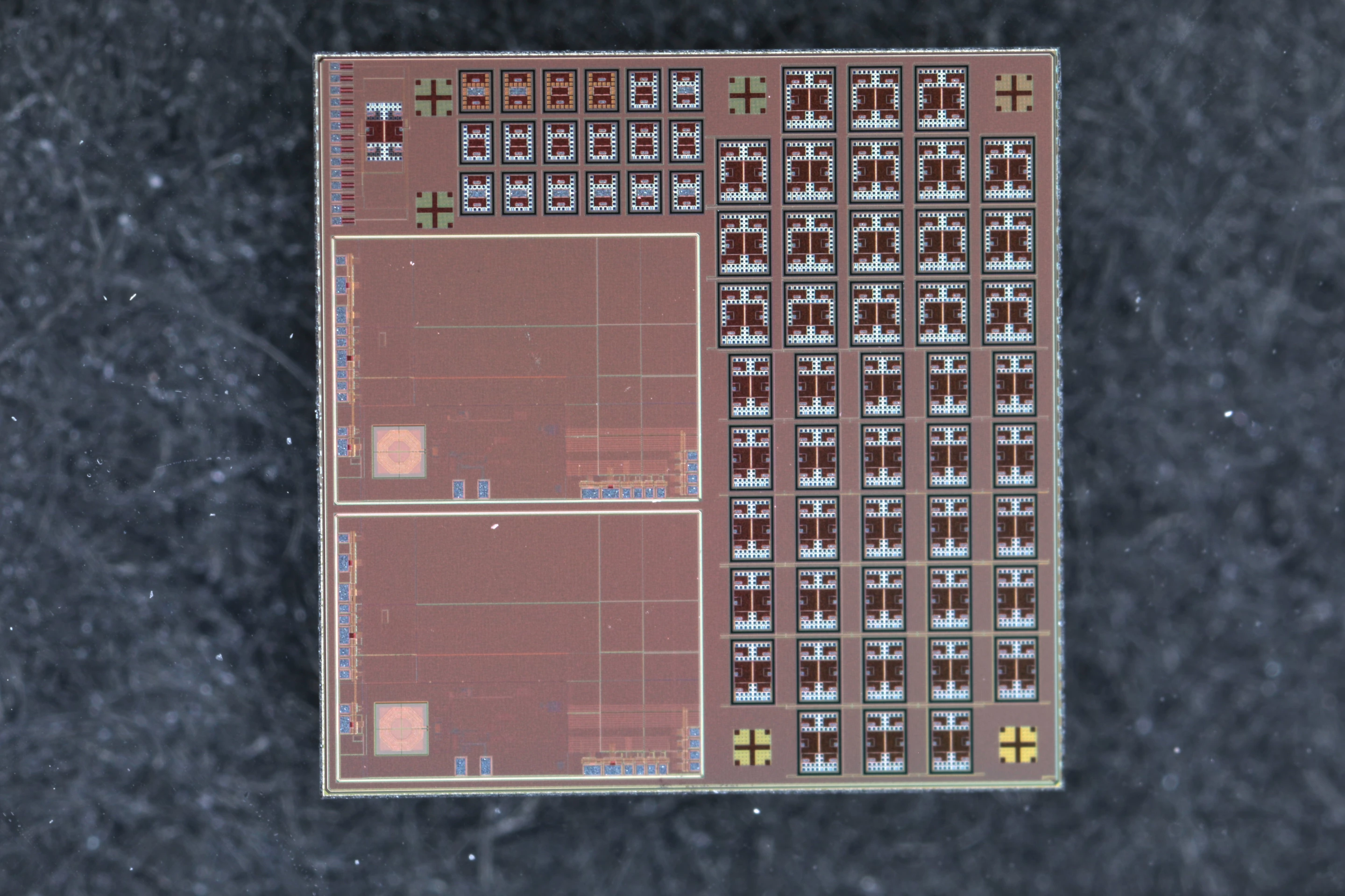 A microchip containing an array of microrobots