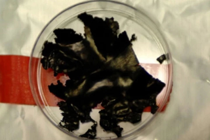 It may not look like much, but this new battery material could enable EVs to charge in 5 minutes(Photo: Donna Coveney via MIT)