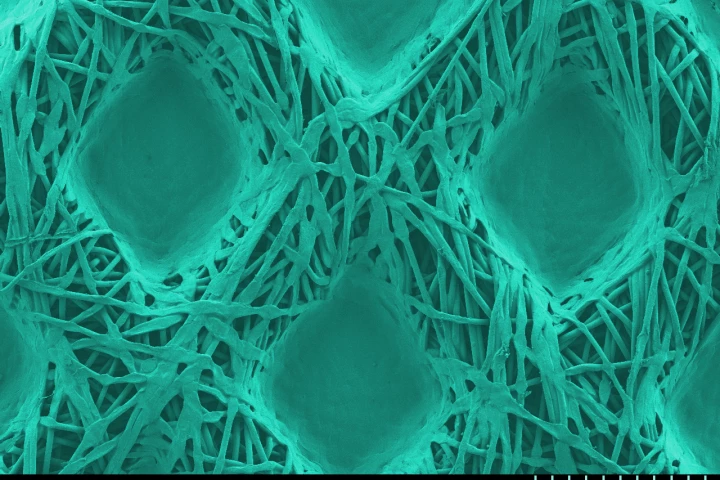 A scanning electron microscope image of the new antimicrobial coating on a fabric sample