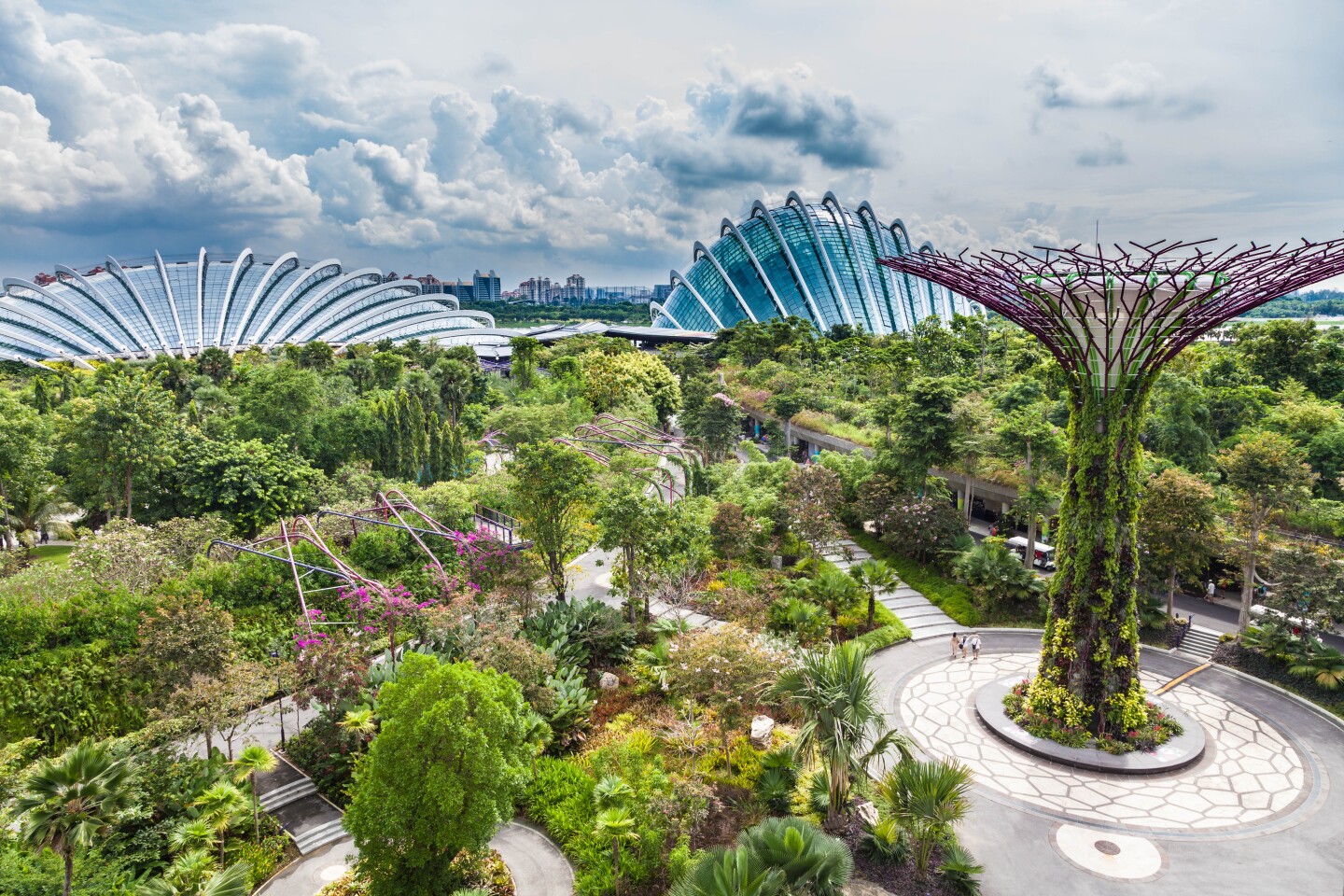 Gardens by the Bay – Supertree Grove and the two cooled conservatories as viewed from the Skyway (Photo: Loz Blain)
