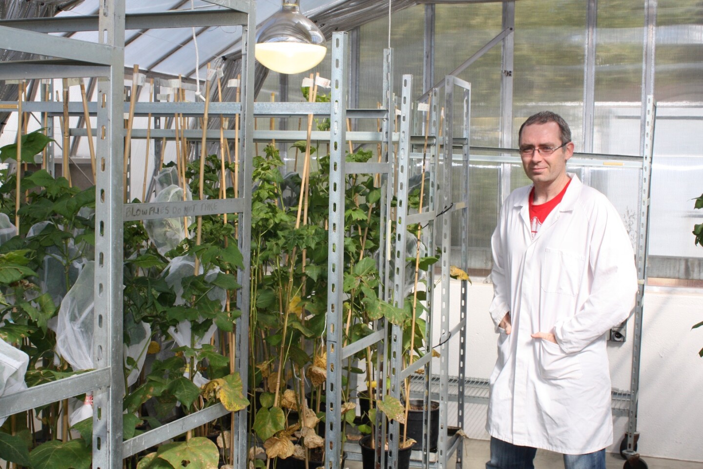 CSIRO scientist Tom Walsh
