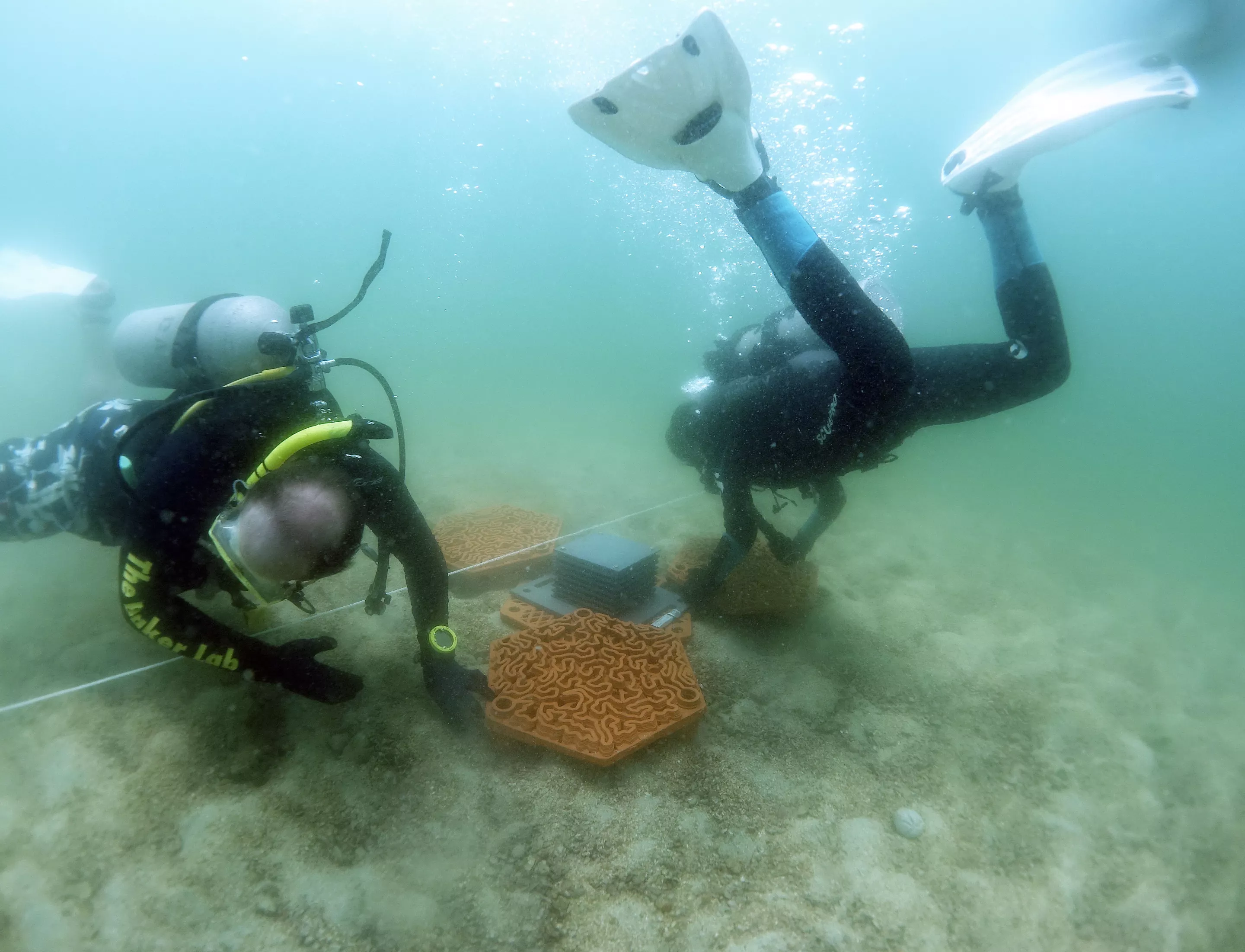 The idea behind the tiles is that they be placed in interlocked groups on the ocean floor, providing a reef-like structure upon which coral will grow