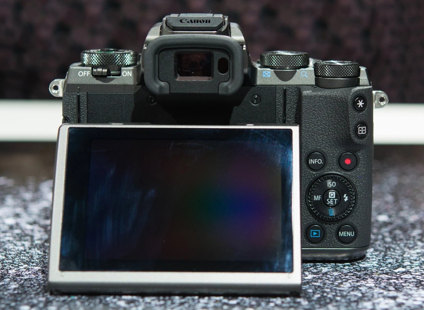 The tilting screen on the Canon EOS M5 camera makes it easier to shoot in some situations
