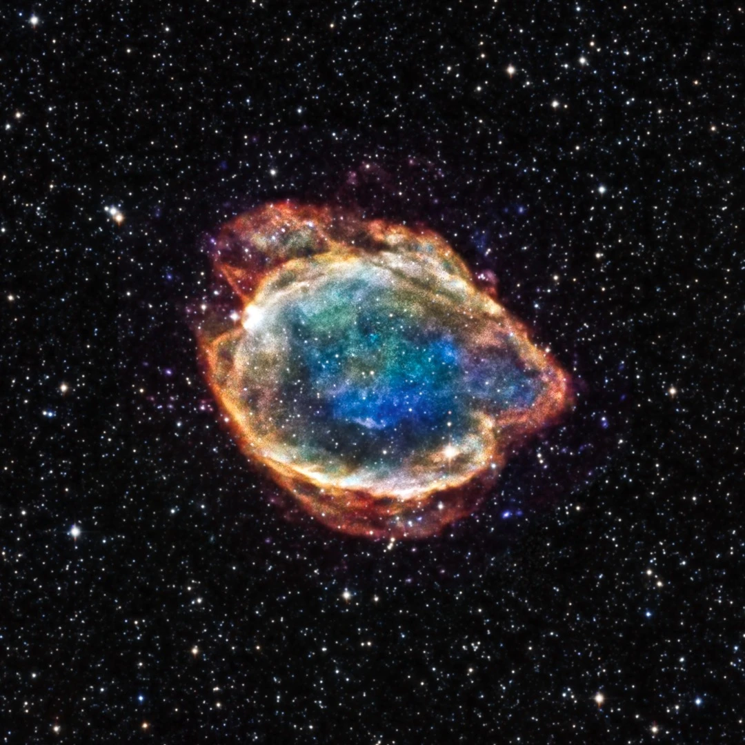 The new supernova is a Type Ia specimen. This supernova remnant, found in the Milky Way and called G299, is what was left over after a Type Ia explosion. It was captured by the Chandra X-Ray Observatory.