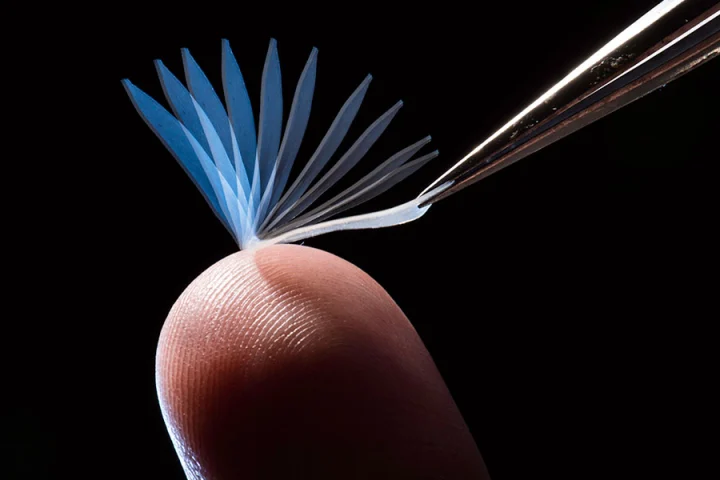 Researchers have developed a polymer elastomer that reverts to its original shape when heated to around 35° C, opening up potential biomedical applications