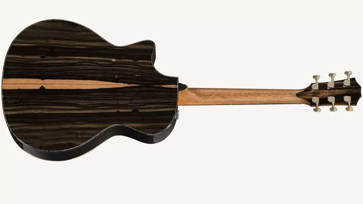 The top of the V-Class range is the PS14ce, which has West African ebony back and sides