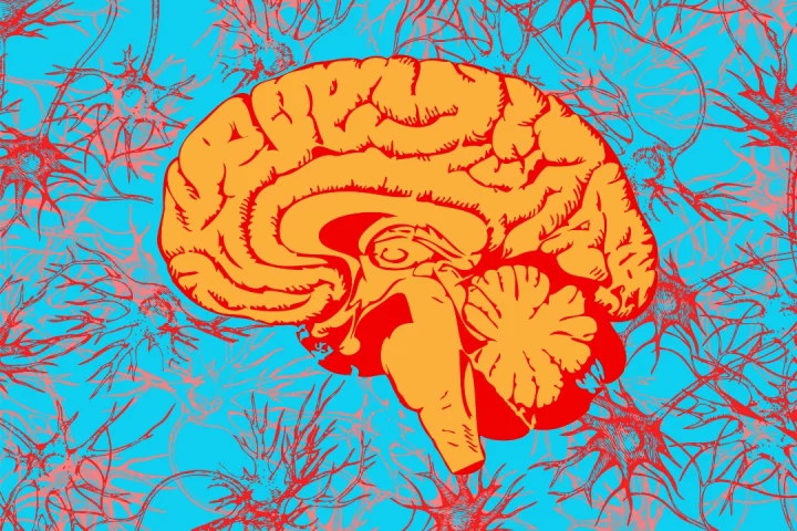 New research brings us closer to understanding how psychedelic DMT is endogenously produced in a brain, and when it is naturally released