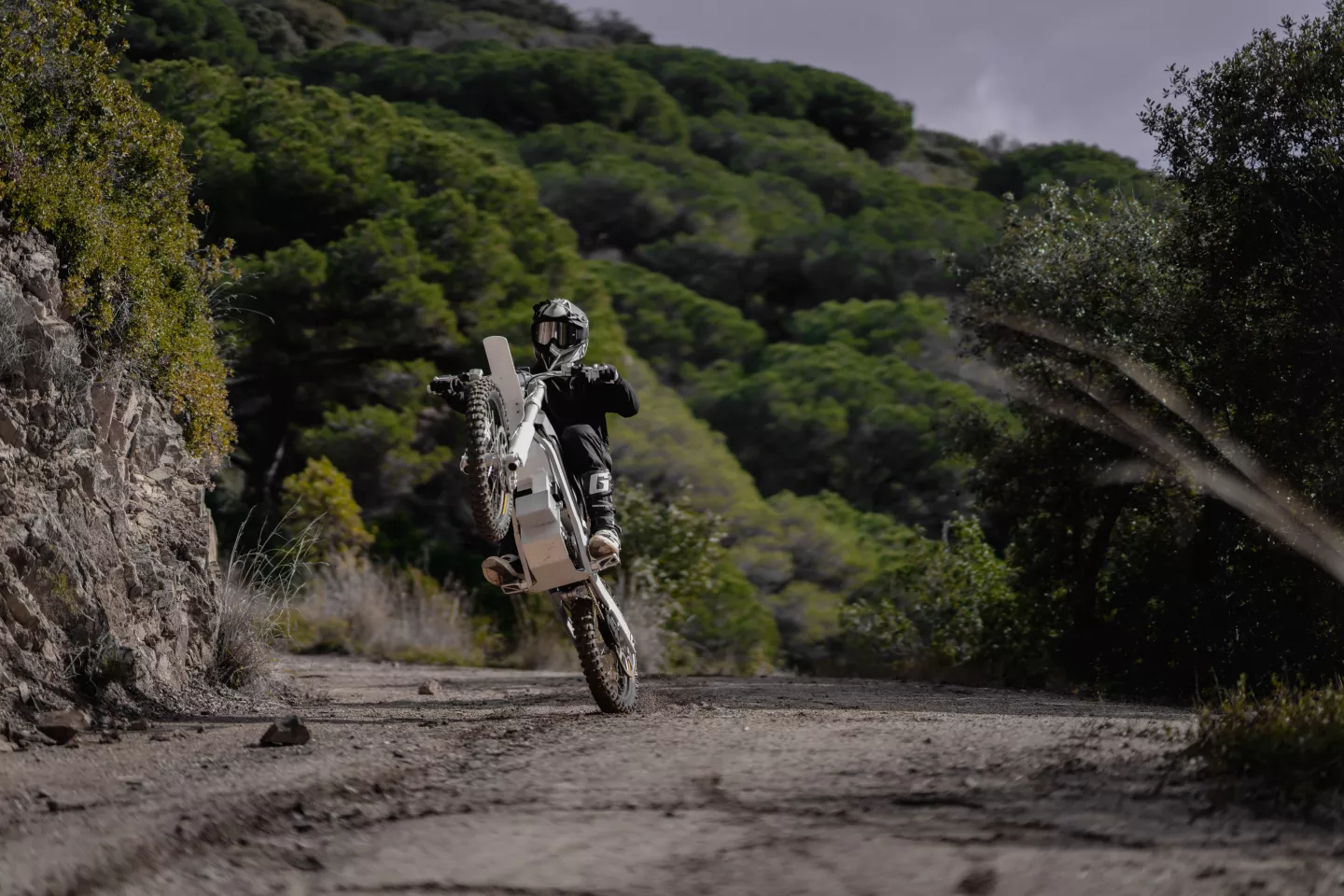 The Bukk is available with either a 13-kW or 16-kW (peak) Jante motor for up to 456 Nm of torque and top speeds of over 90 km/h