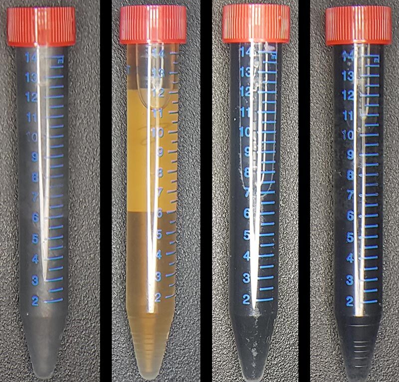 From left: A vial of graphite, a vial of graphene oxide and Shewanella bacteria, a vial of graphene produced by the bacteria, and a vial of graphene produced chemically