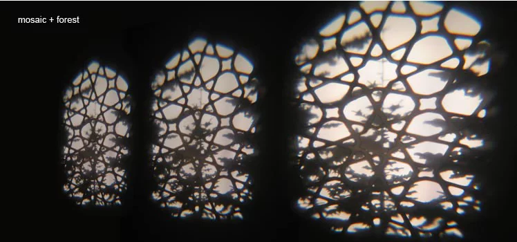 A window frame and stirring branches projected by Adam Frank's REVEAL