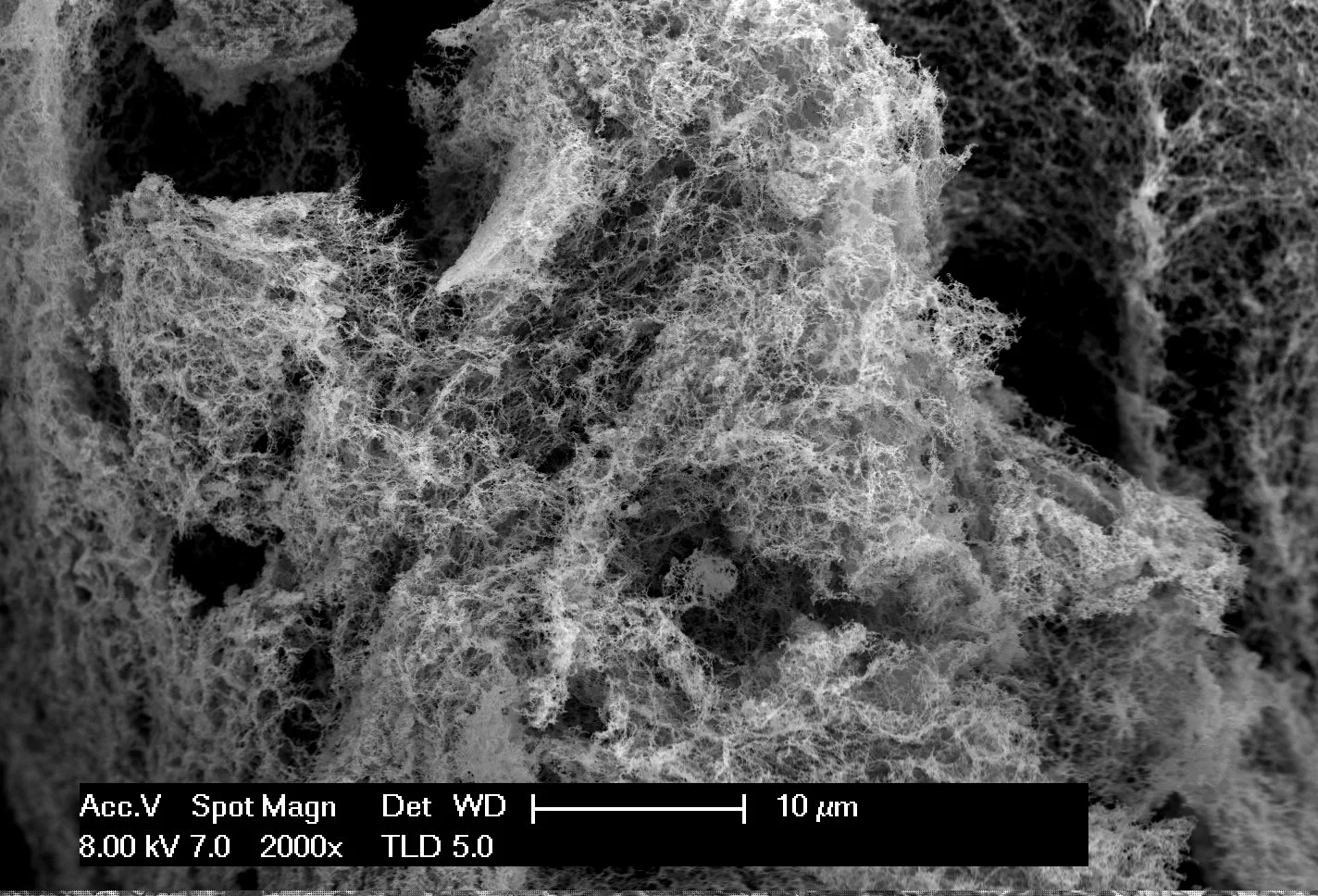Researchers at Washington State University have developed a "nanofoam" out of nickel and iron, creating a more efficient and less expensive catalyst for water electrolysis