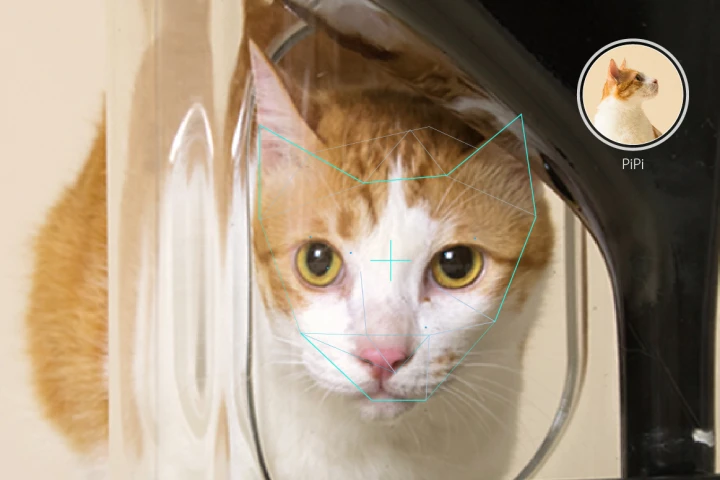 Bistro is claimed to be the first smart cat feeder with facial recognition technology