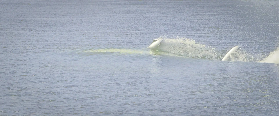 The Seabreacher X