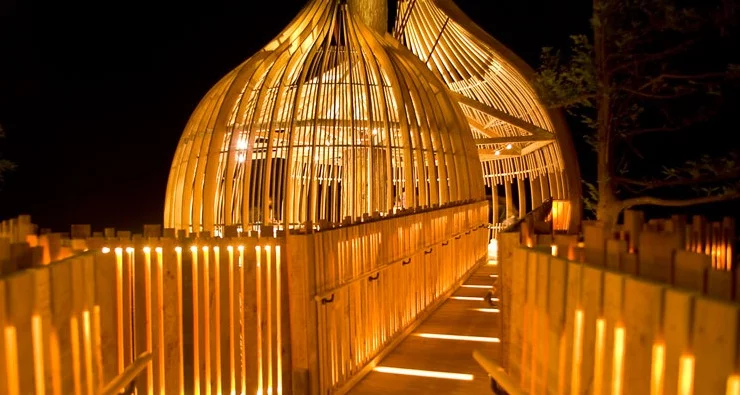 By night the treehouse is transformed into a glowing lantern