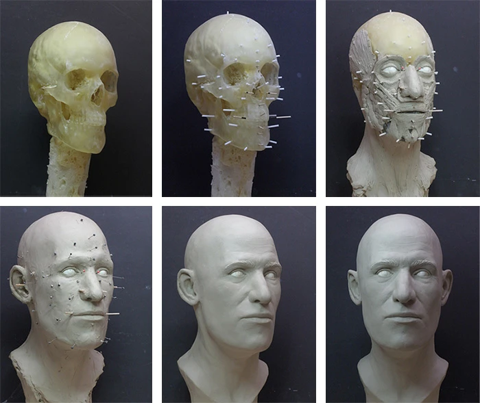 The facial reconstruction process layers clay muscle, tissue, and skin over the skull using expert knowledge of anatomy