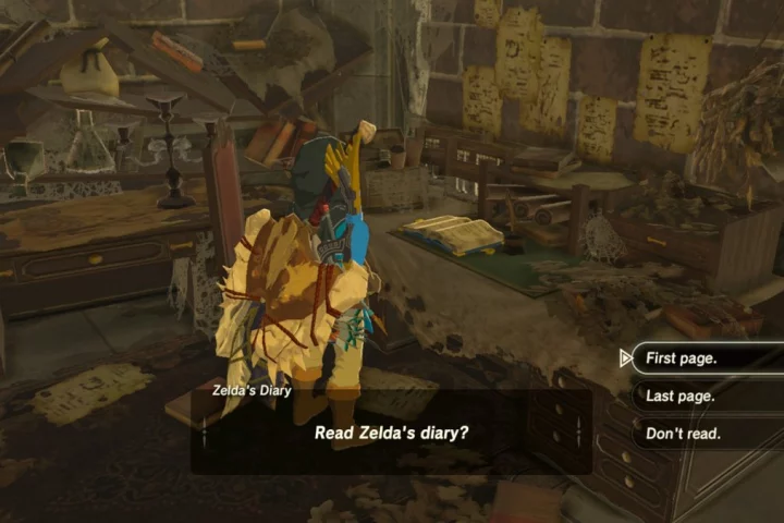 Zelda's diary