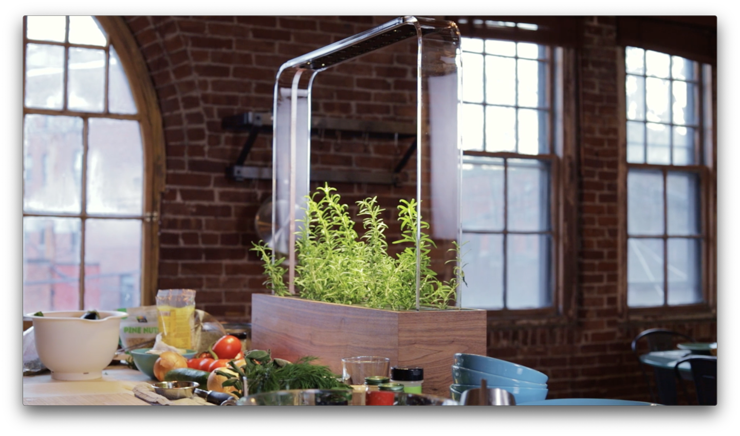 The Herb Garden monitors the surrounding environment to maintain ideal growing conditions