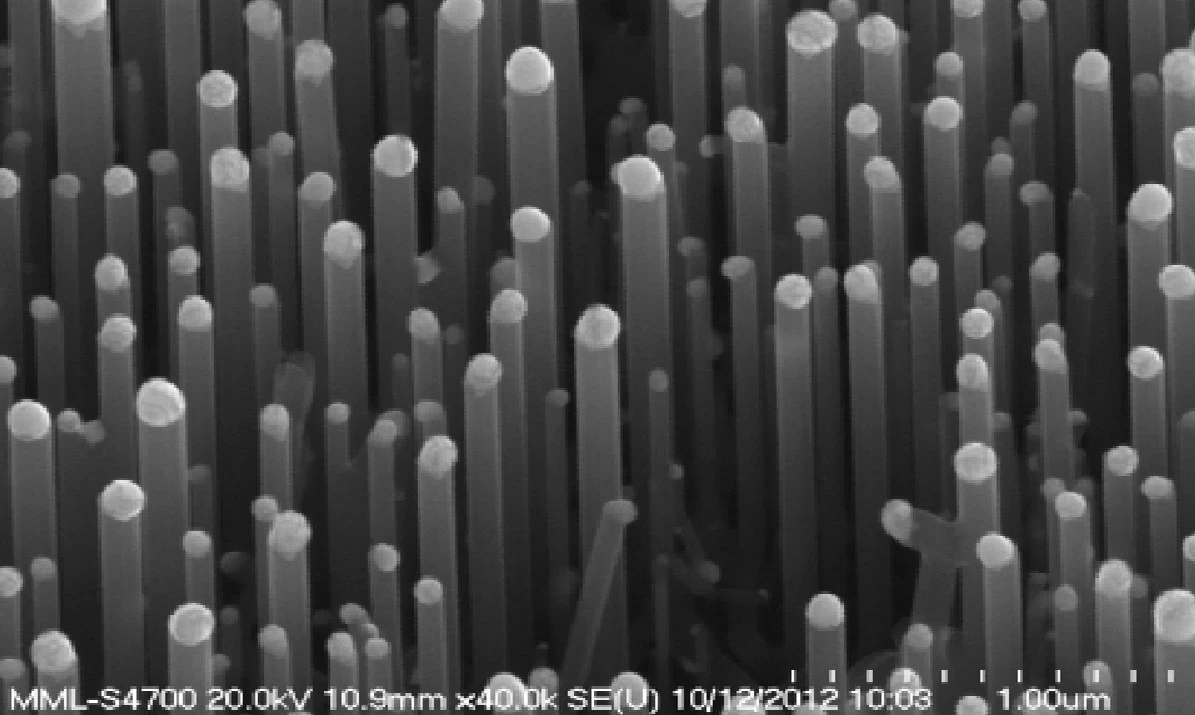Silicon nanowires were one of the hydrophobic structures studied by the Northwestern team