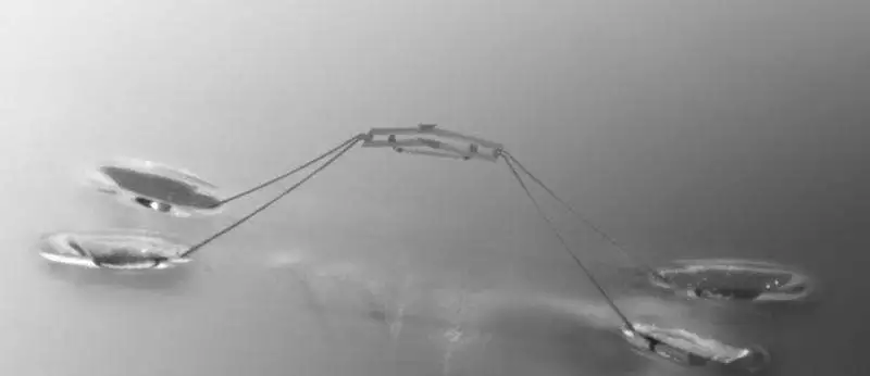 The semi-aquatic jumping robot is inspired by how water strider insects jump off of the water's surface