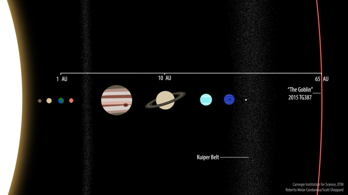 On its closest approach to the Sun, the Goblin only comes within 65 AU