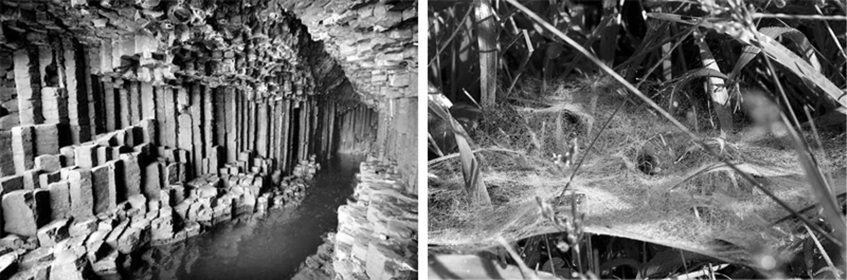 The architecture is based on basaltic columns and spider webs