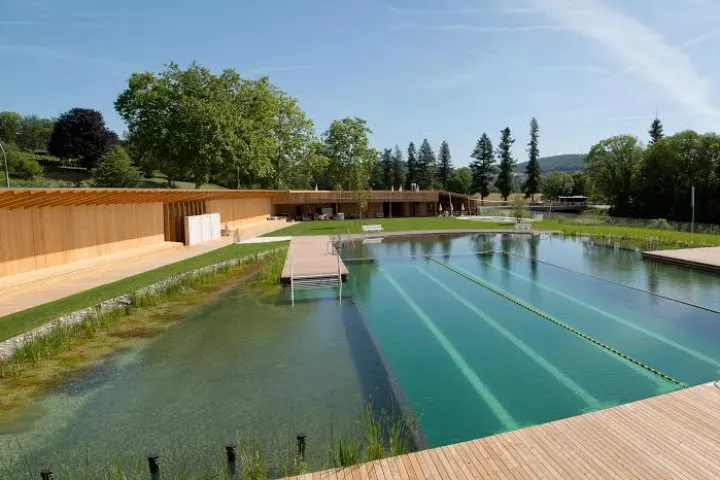 The Naturbad Riehen swimming pool is entirely chemical-free (Photo: Helen Schneider)