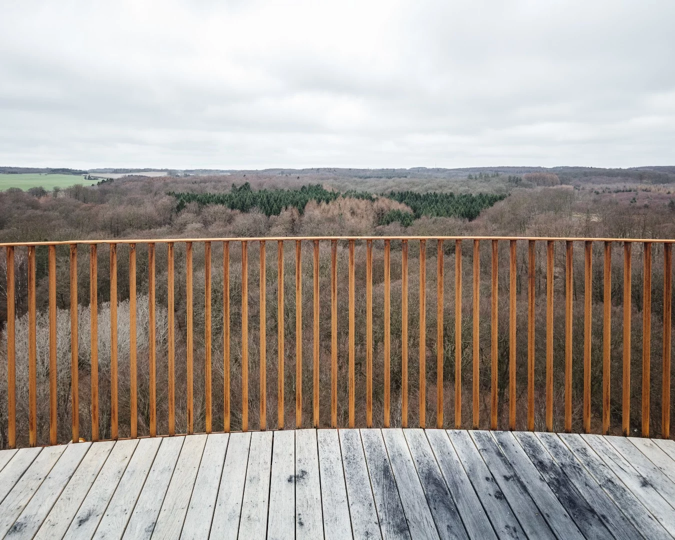 The Camp Adventure Tower's top offers 360-degree views of the area