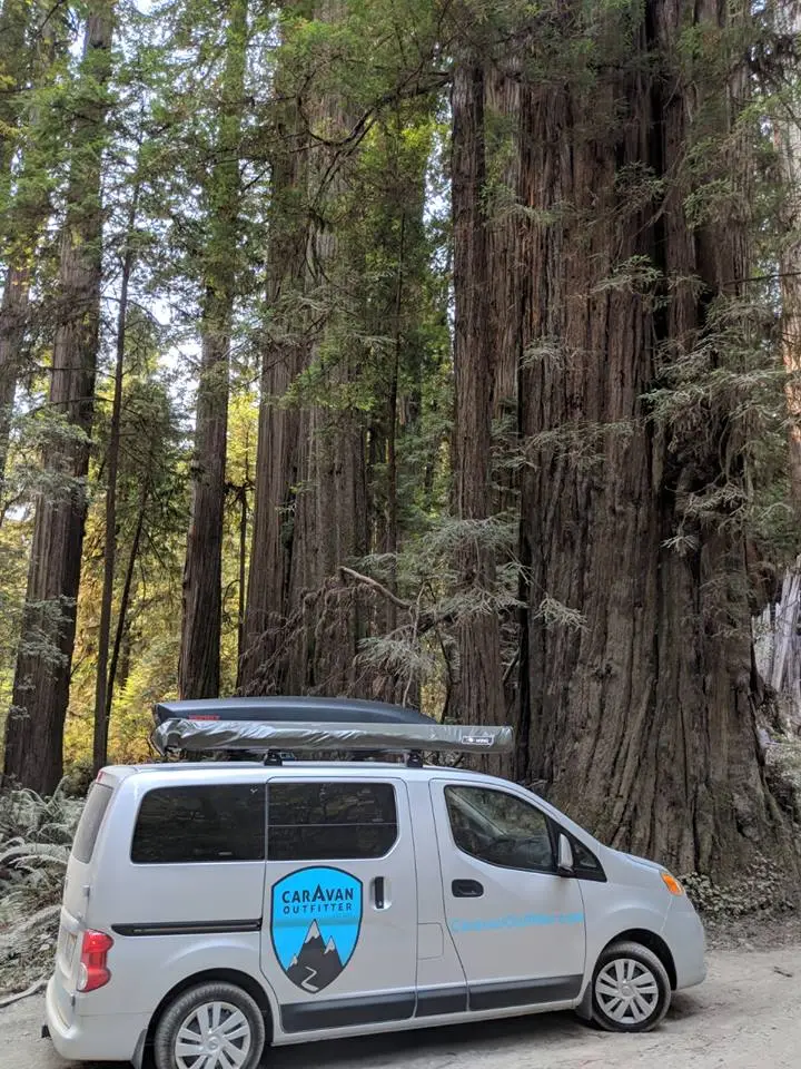 The compact Free Bird camper van looks even smaller next to the redwoods