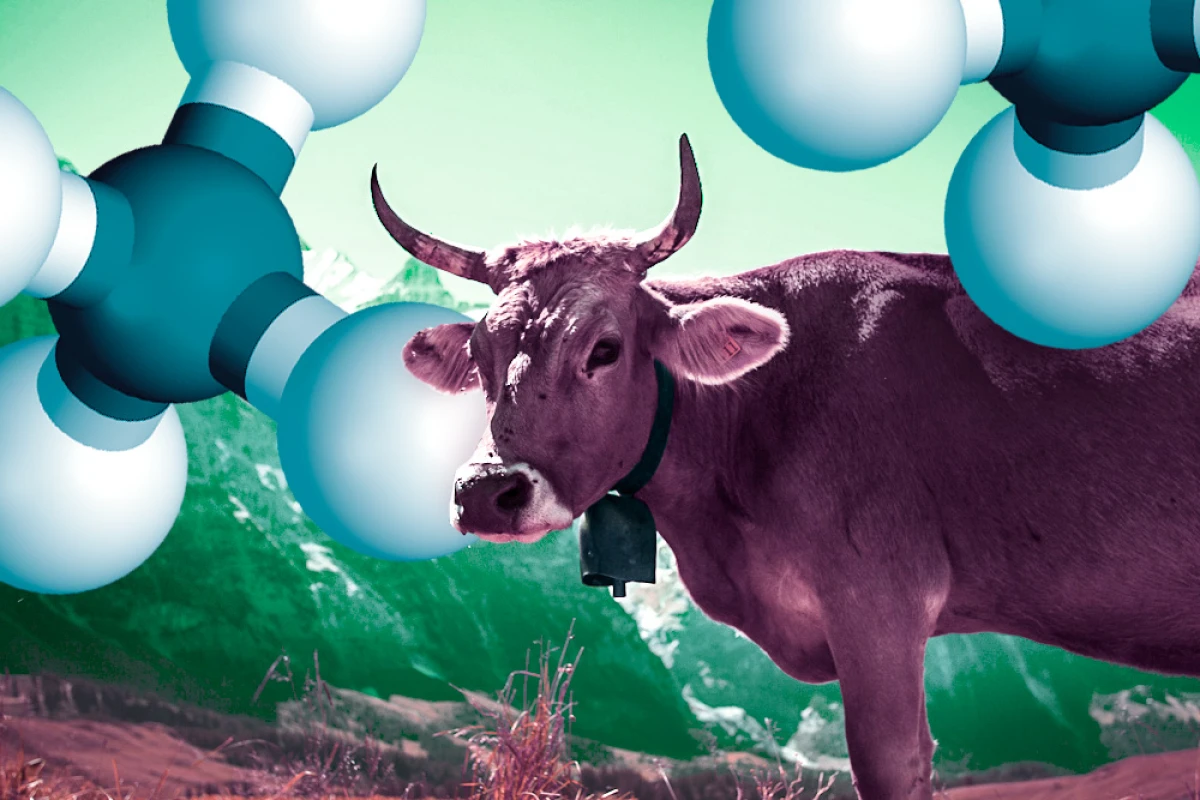 The new method looks for specific isotopes that point to the origins of methane samples (Image: Danielle Gruen/Jose-Luis Olivares/MIT)