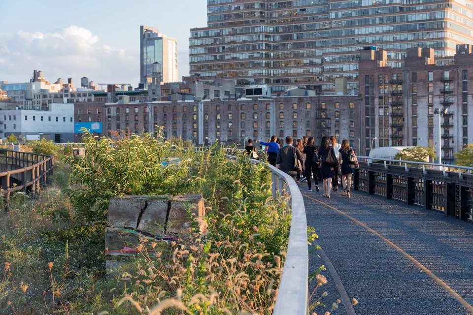 The High Line is used for relaxing, recreation, group meet-ups and walking tours (Photo: Iwan Baan)