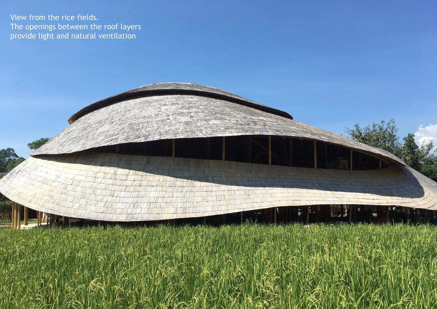 While bamboo has its drawbacks as a construction material, it does have its strengths, too