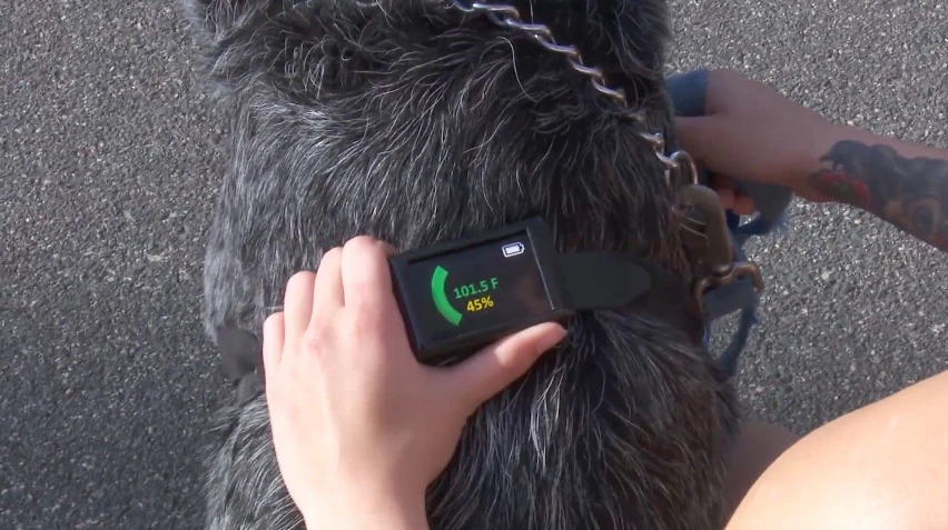 The Dawg Tag contains multiple sensors that measure the dog's body temperature at several locations
