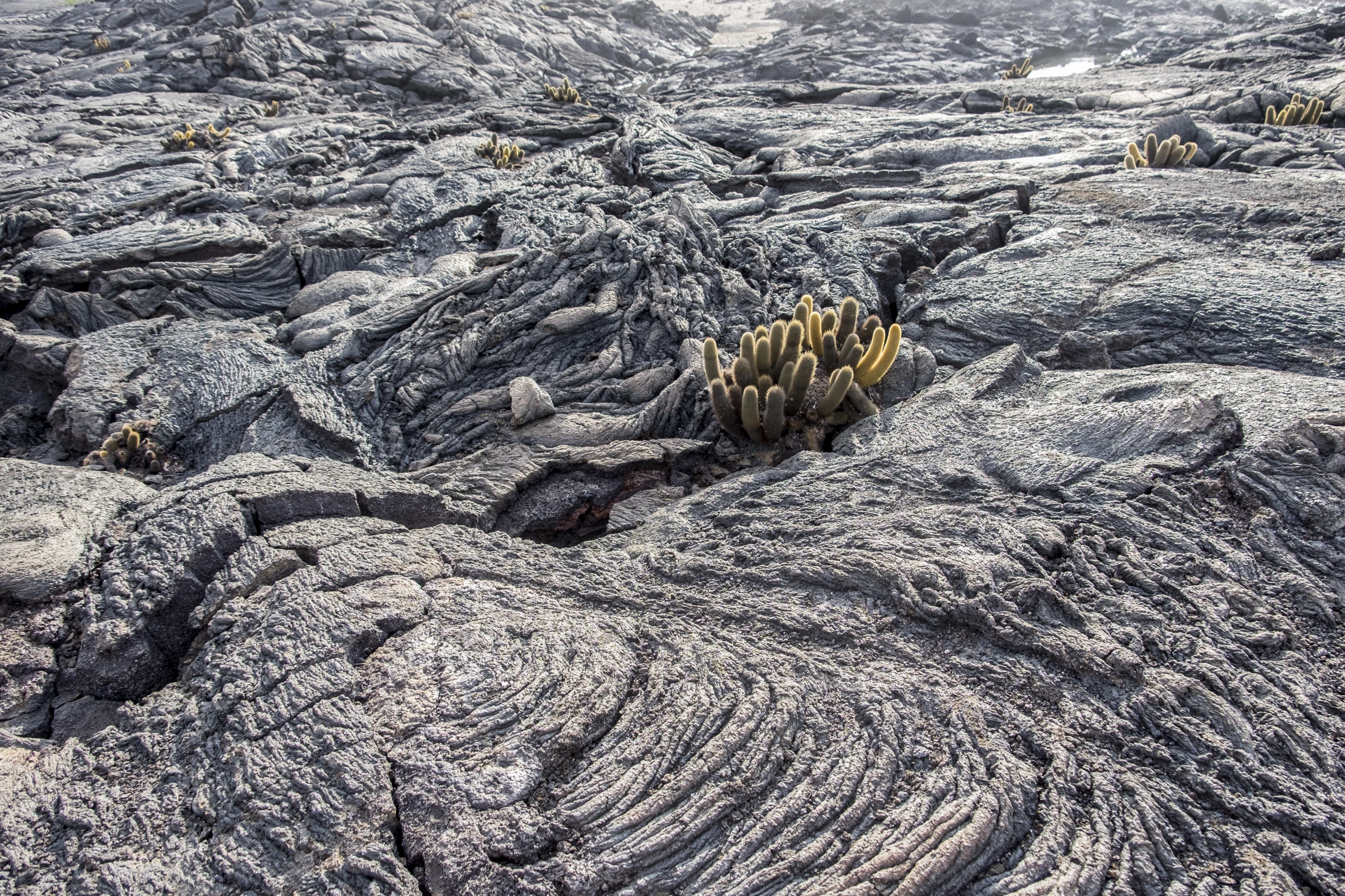 Scientists at Stanford are exploring how volcanic rock might be used to lower the carbon footprint of cement