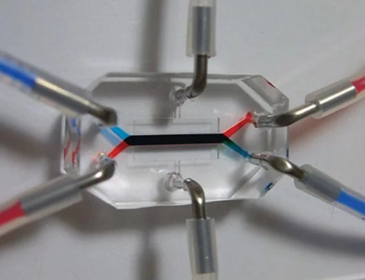 The Wyss Institute picked up Corporate and Individual awards. Earlier this year it developed this “gut-on-a-chip”