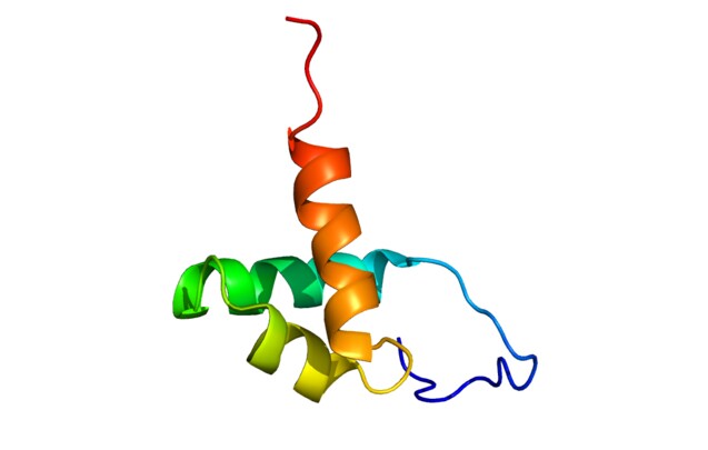 A rendering of the protein structure of NCOR1